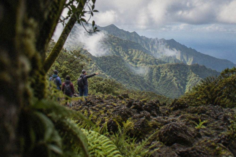 A guide pointing out features of a lava field to a small group of hikers