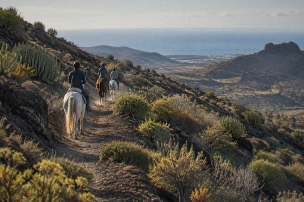 Riders on horseback following a dusty trail between volcanic rock and green scrub on a Tenerife hillside