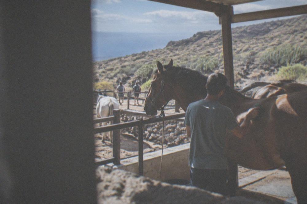 A groom brushing a brown horse in an open stable yard with sunlight through the roof