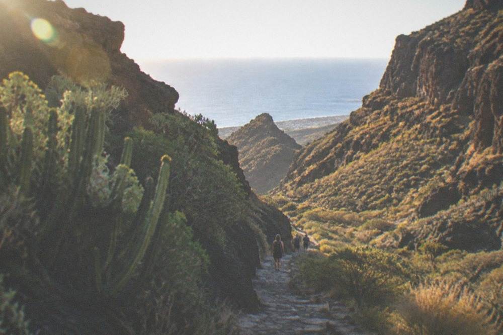 A narrow stone path winding down a green gorge towards the sea between high rock walls