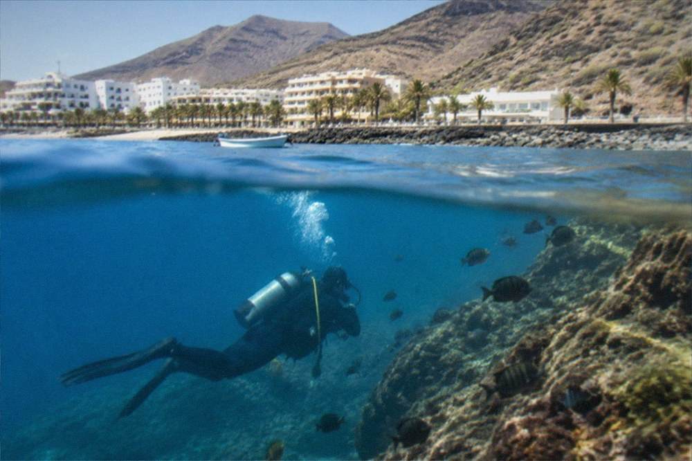 A diver underwater beside a rocky reef with fish swimming around them