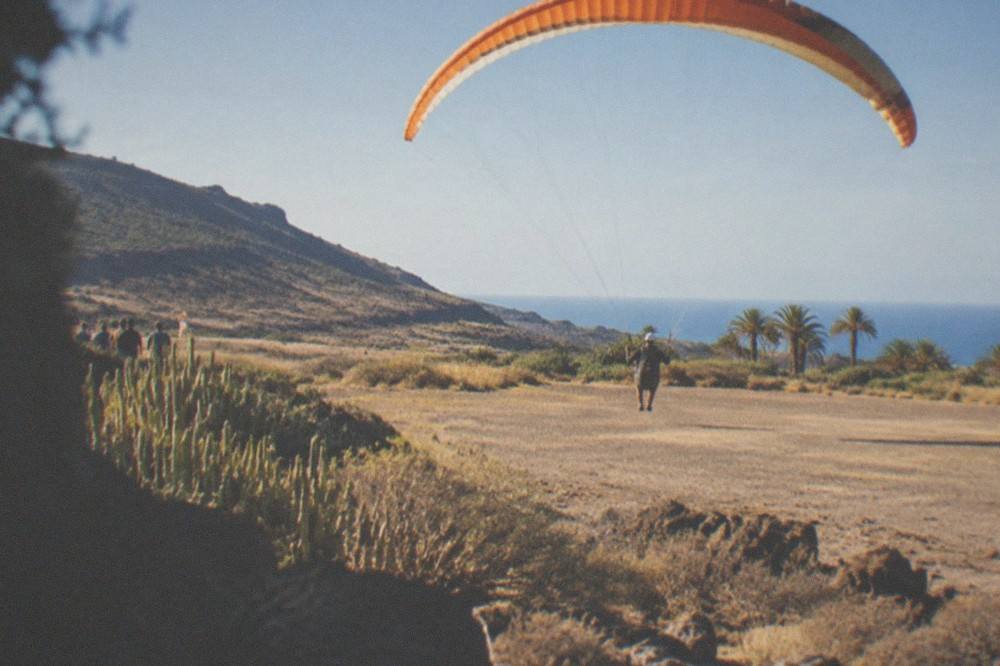 A paraglider coming in to land on a flat coastal field with palm trees at the edge