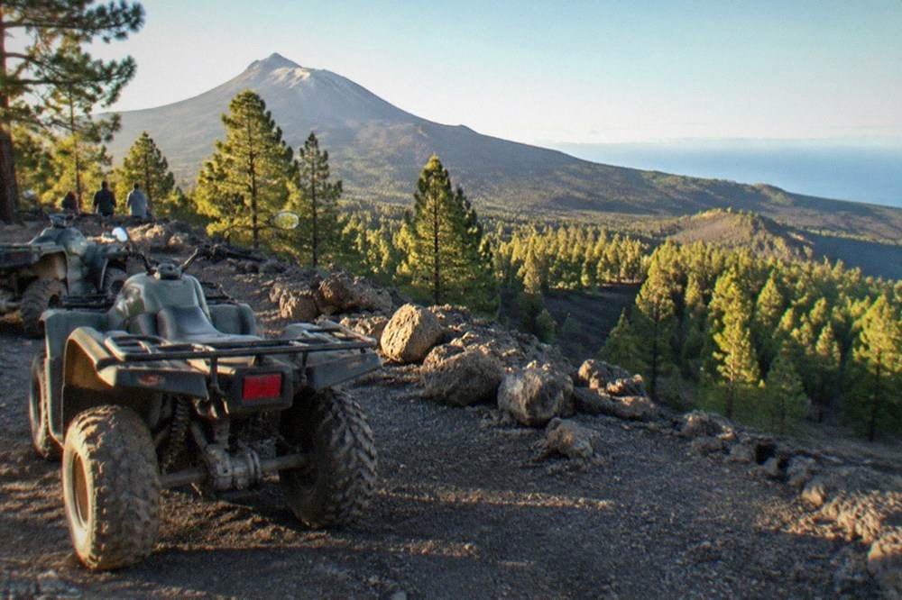 Quad bikes parked at a rocky viewpoint with pine forest below