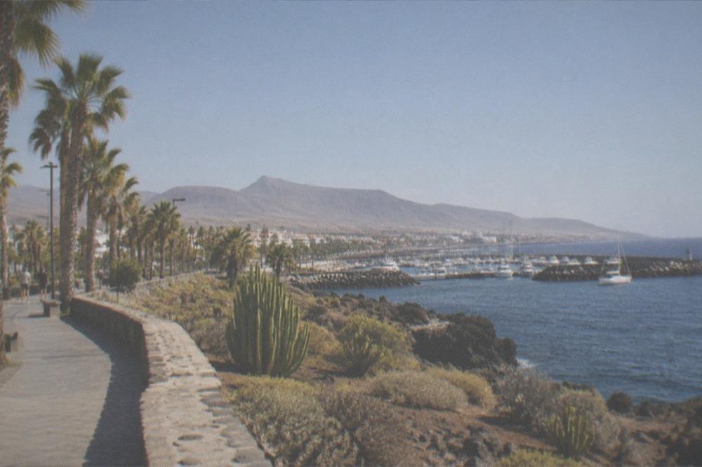 A coastal promenade with palm trees and a harbour in the distance under a clear sky