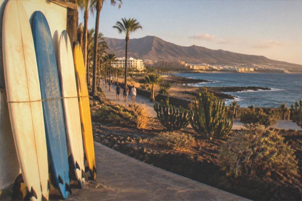 Surfboards leaning against a wall outside a beachside surf school