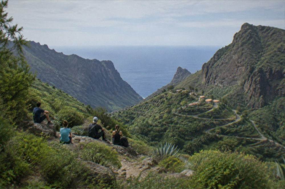A group of hikers resting on a ridge surrounded by dense green laurel forest