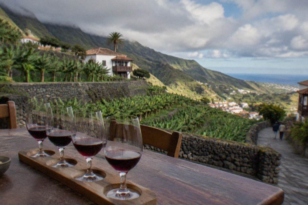 A tasting flight of red wines in glasses arranged on a wooden table