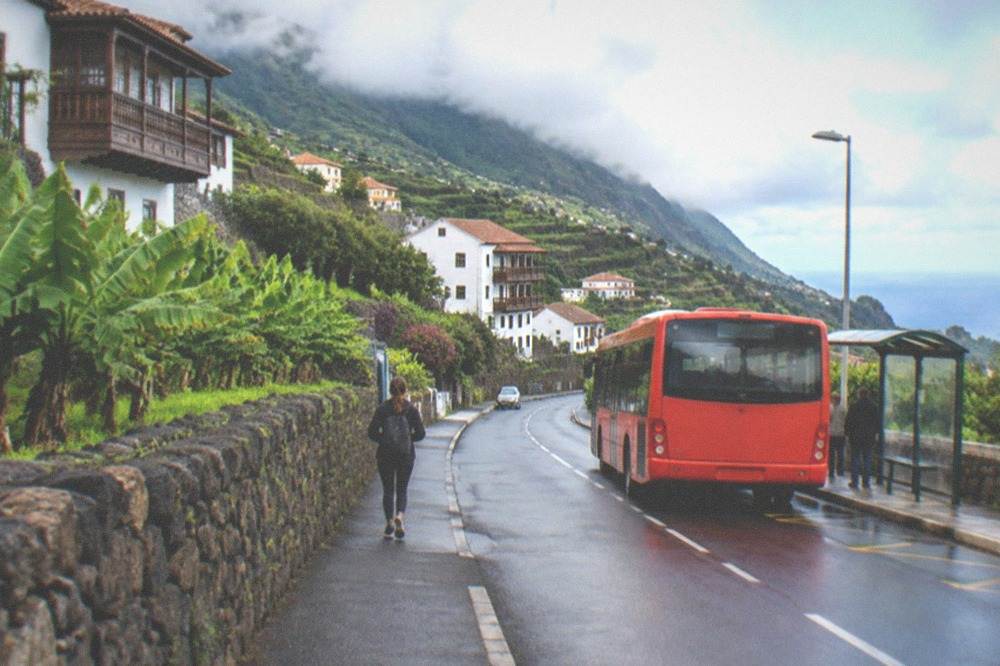 A red island bus at a stop on a green northern road